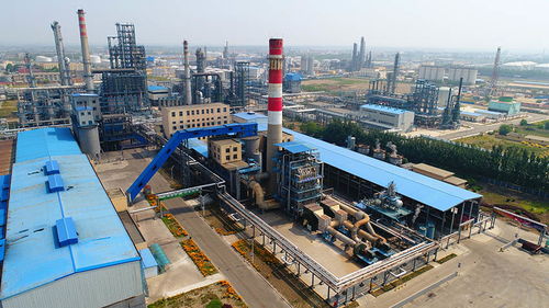 石油化工業務板塊 能源轉型時代的基石與引擎