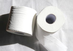 衛(wèi)生紙竟然還會(huì)過(guò)期？過(guò)期后能否繼續(xù)使用及石膏混合料的巧妙應(yīng)用