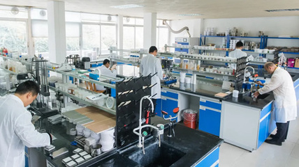 環保技術創新引領未來，嘉寶莉家具漆榮獲“2020中國家居優秀企業巡禮榮譽企業”稱號